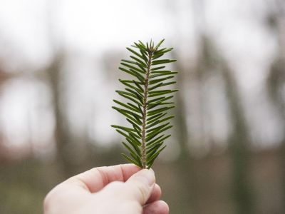 Hvad kan jeg gøre for klimaet? Konkrete tips til klimaforbedring