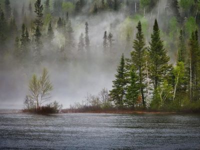 Klimakompensation: Hvad det er, og hvorfor det er vigtigt for klimaet